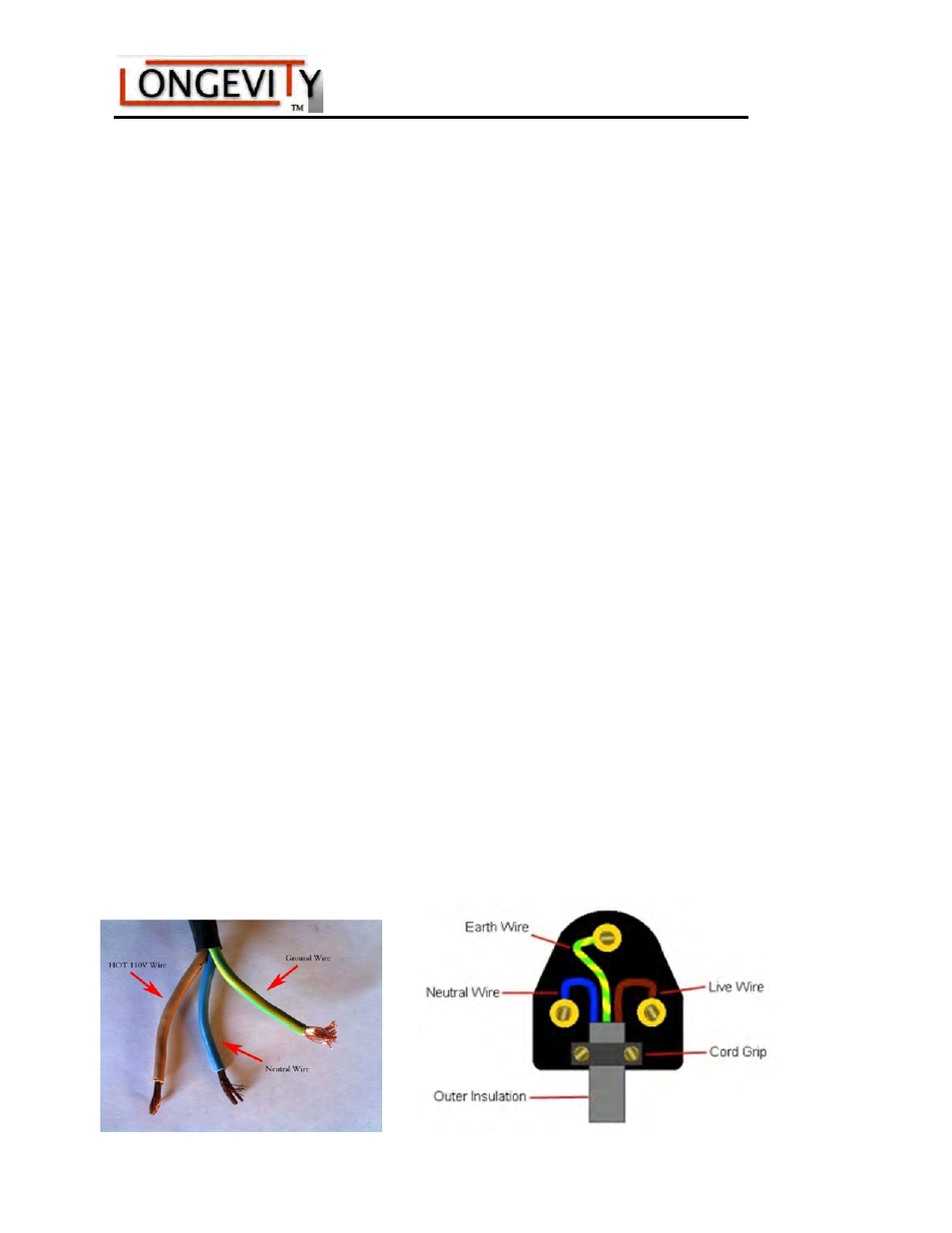 Identifying the neutral wire, 110v plug diagram | Longevity STICKWELD 315 User Manual | Page 13 / 25