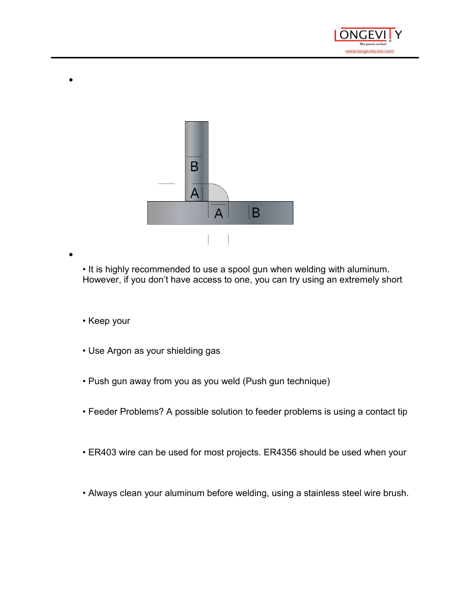 Longevity PROMTS 200i User Manual | Page 17 / 25