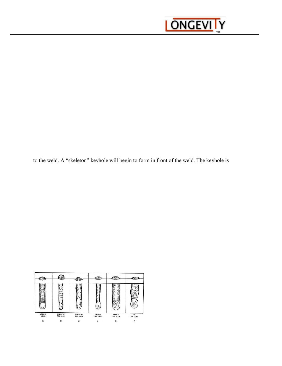 Longevity TIGWELD 250 EX User Manual | Page 19 / 28