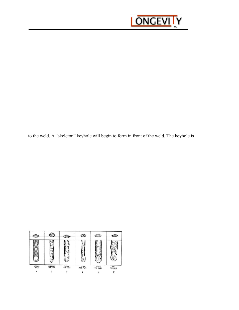 Longevity WELDMAX 185 User Manual | Page 19 / 28