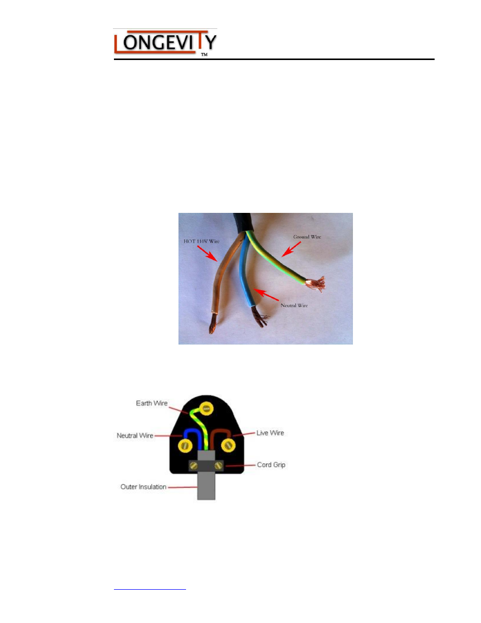 Identifying the neutral wire, 110v plug diagram | Longevity FORCECUT 50i User Manual | Page 15 / 34