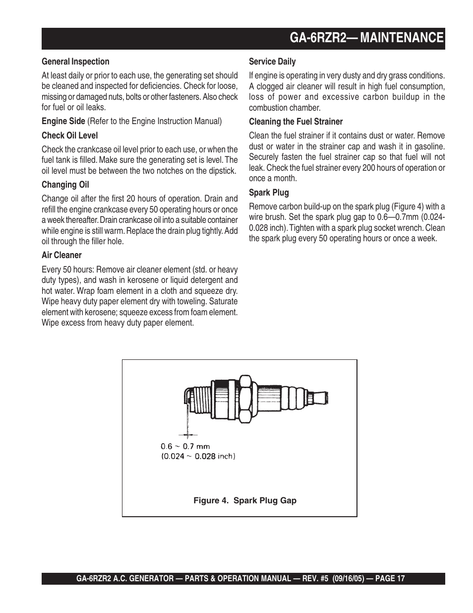 Ga-6rzr2— maintenance | Multiquip GA-6RZR2 User Manual | Page 17 / 52