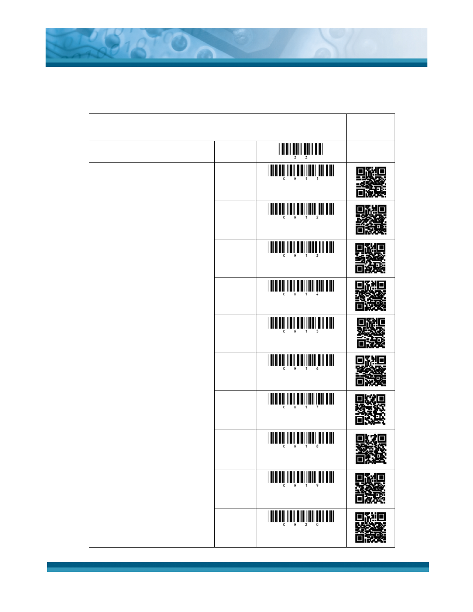 Ch11, Ch12, Ch13 | Ch14, Ch15, Ch16, Ch17, Ch18, Ch19, Ch20 | Opticon OPI 4002 User Manual | Page 24 / 26