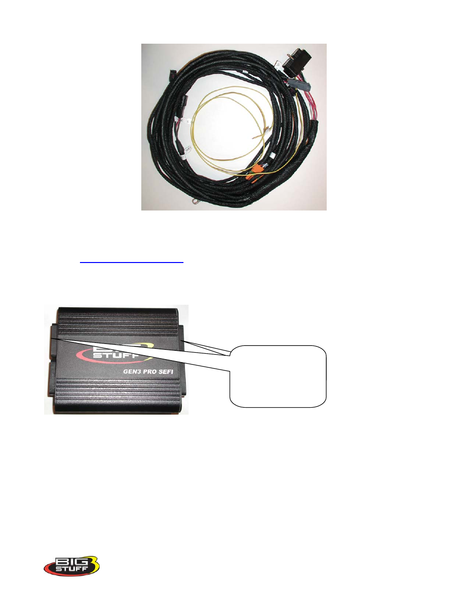 Dae system installation overview | Precision Turbo and Engine BigStuff3 GEN3 PRO SEFI DAE Option User Manual User Manual | Page 3 / 9