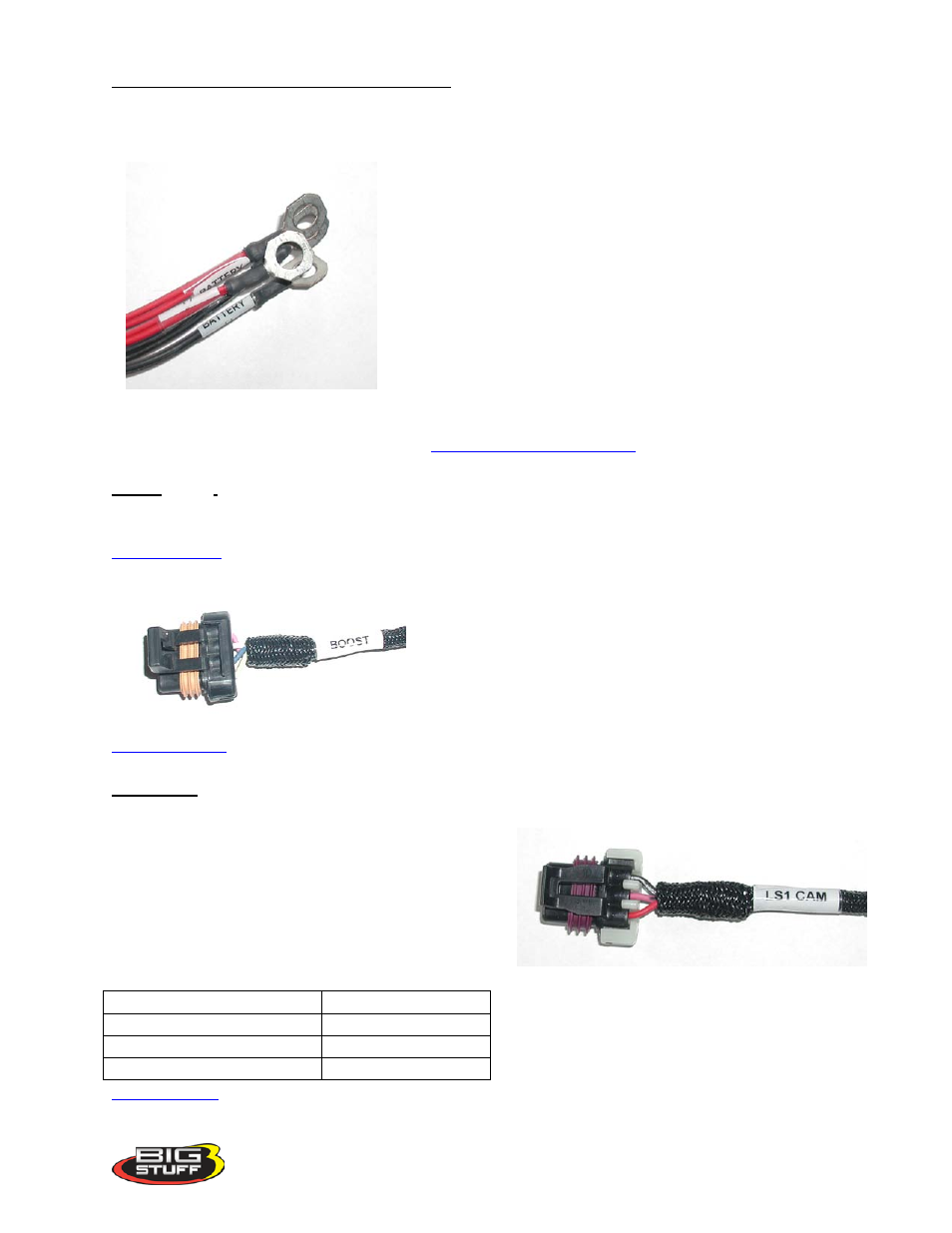 Boost (black 4-way packard connector), 1tback_to_boost1t, Ls1 cam (black 3-way packard connector) | Battery_connections, Boost | Precision Turbo and Engine BigStuff3 GEN3 PRO SEFI (LS1) System Hardware & BigComm Software User Manual | Page 13 / 122