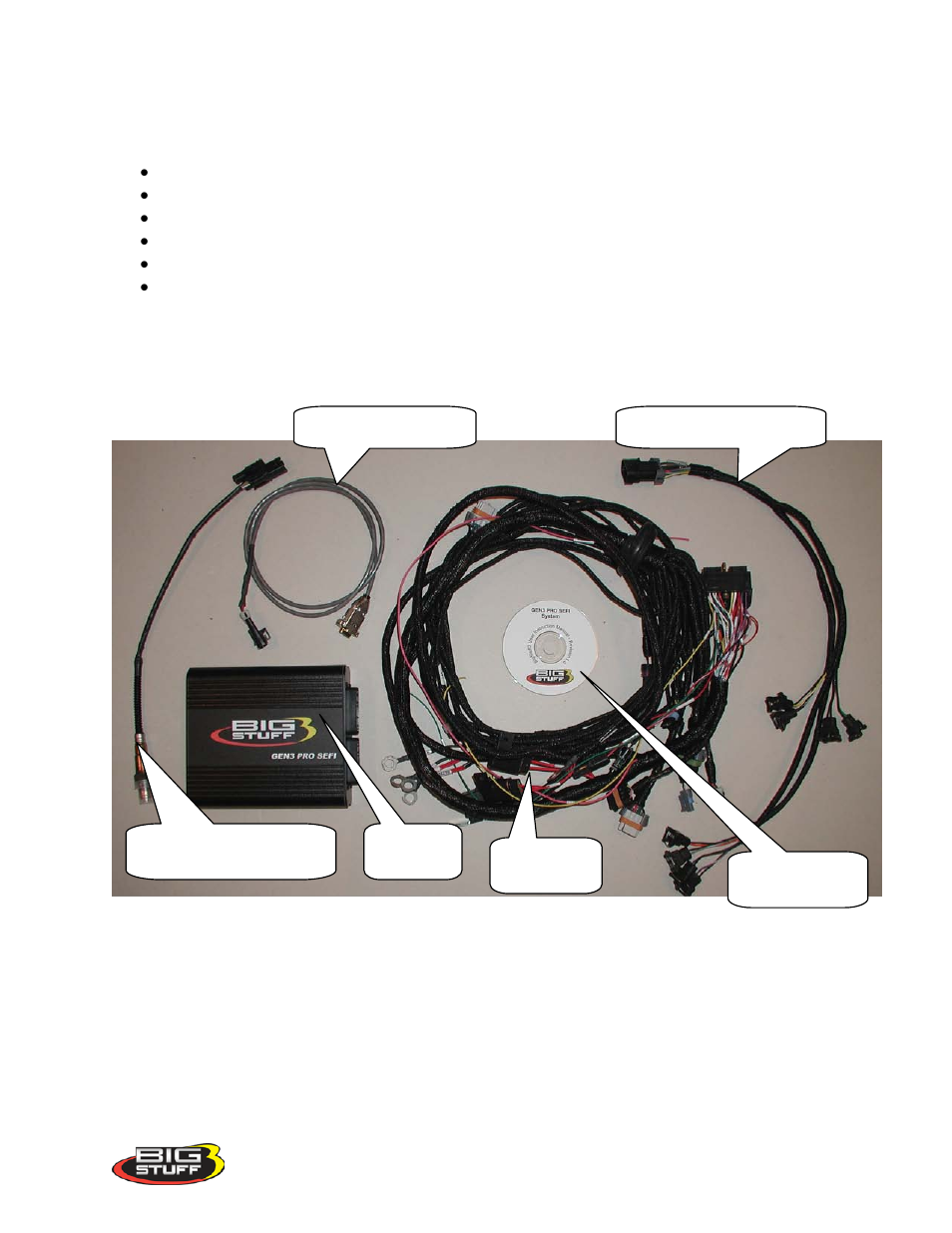 Package contents | Precision Turbo and Engine BigStuff3 GEN3 PRO SEFI (LS1) System Hardware & BigComm Software User Manual | Page 6 / 122