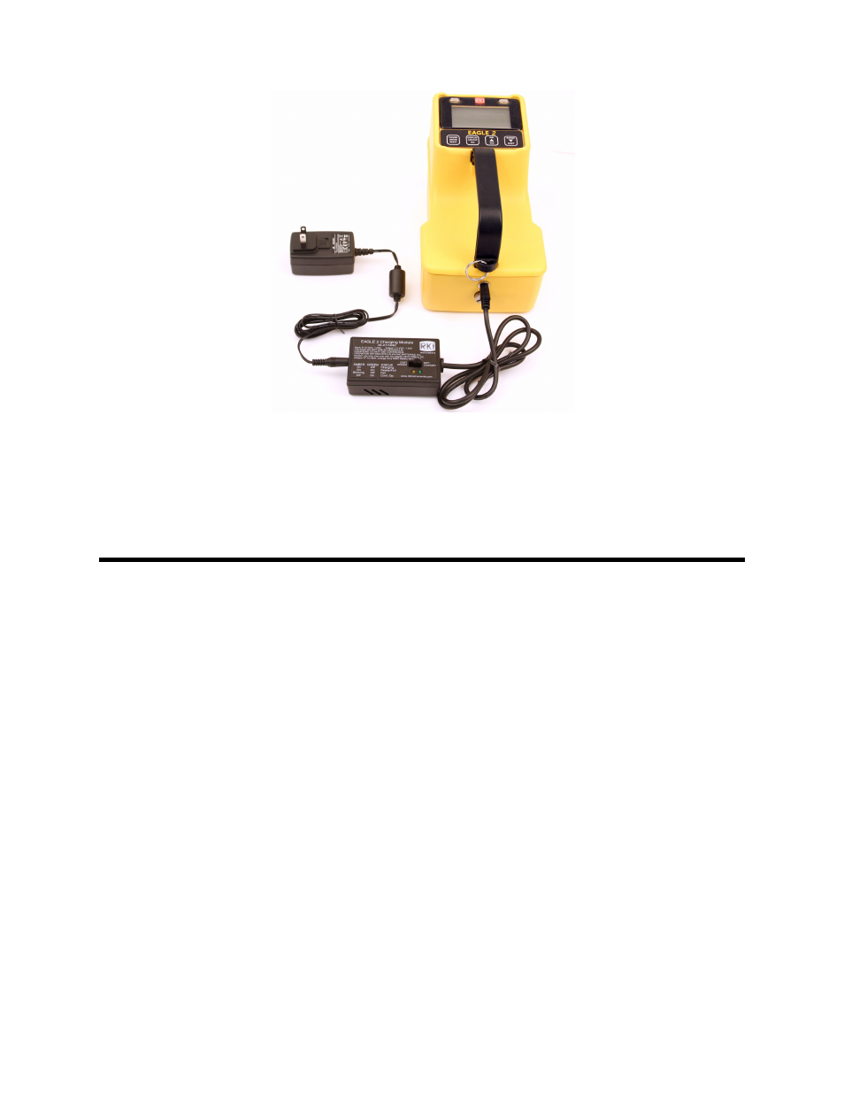 Measuring mode, normal operation | RKI Instruments EAGLE 2 Manual User Manual | Page 39 / 309