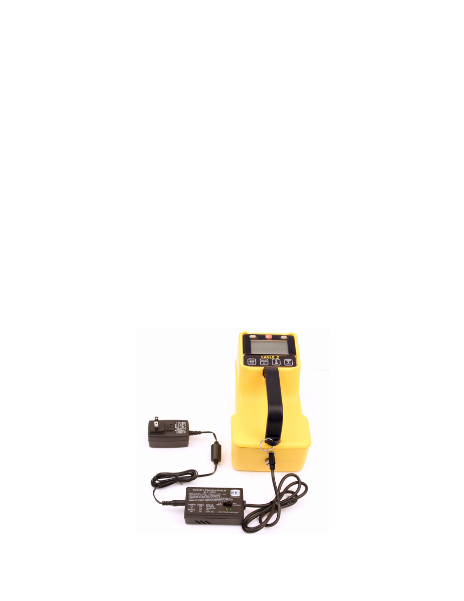 RKI Instruments EAGLE 2 Manual User Manual | Page 84 / 309