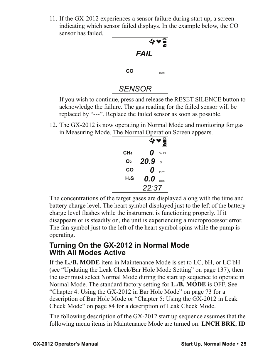 Fail, Sensor | RKI Instruments GX-2012 Manual User Manual | Page 33 / 185