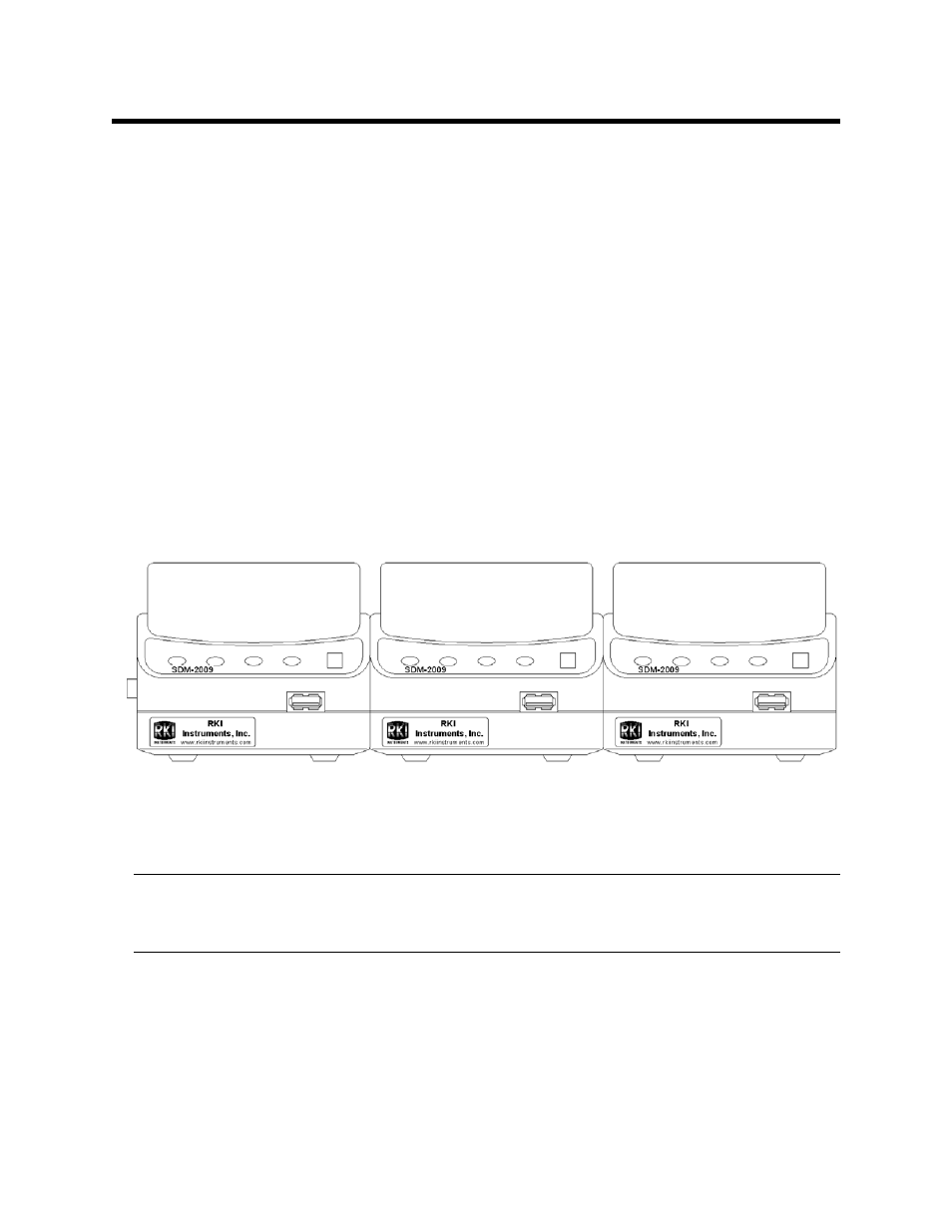 Hardware setup | RKI Instruments SDM-2009 PC Controlled Configuration User Manual | Page 17 / 114