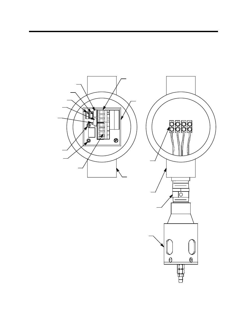Description, Am plifier, Hydrogen detector | Figure 1: hydrogen transmitter component location | RKI Instruments 65-2451RK-04 User Manual | Page 6 / 23