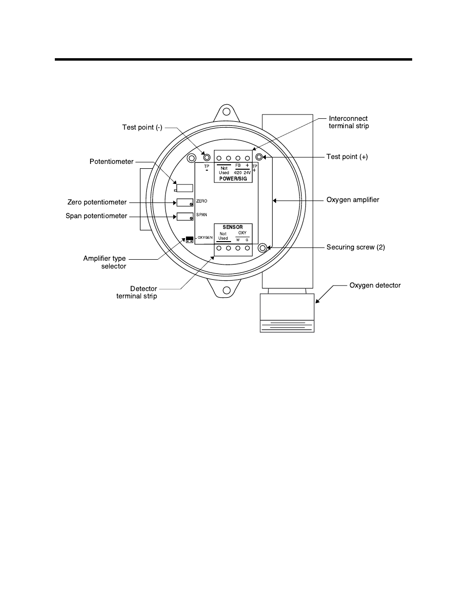 Description, Oxygen detector, Amplifier | RKI Instruments 65-2513RK User Manual | Page 6 / 17