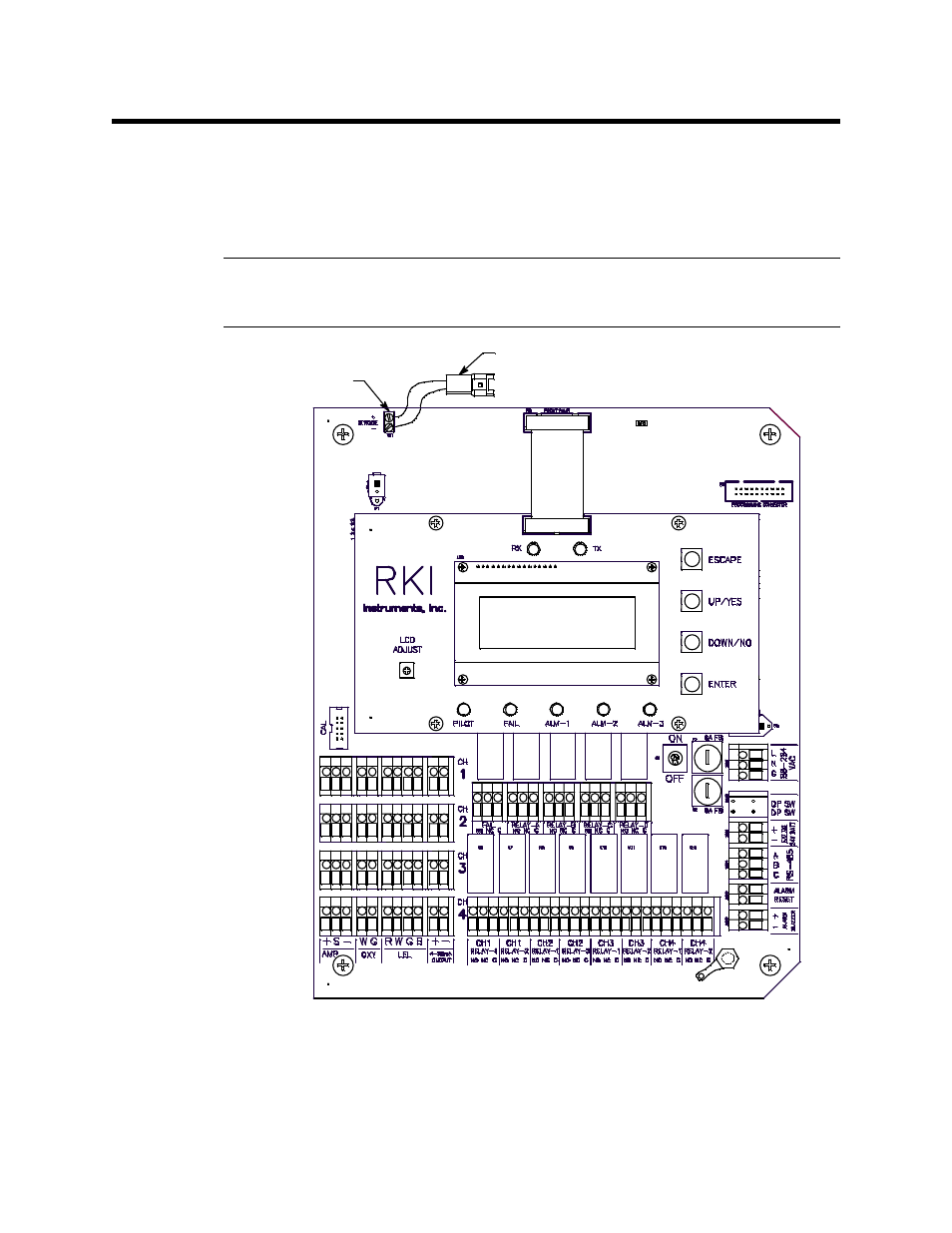 Optional horn/strobe | RKI Instruments Digester Gas Monitor User Manual | Page 25 / 96