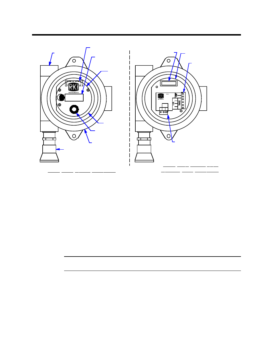 Description, Gas detector, Amplifier set | View with cover and control pcb removed, View with cover removed | RKI Instruments Eclipse User Manual | Page 4 / 18