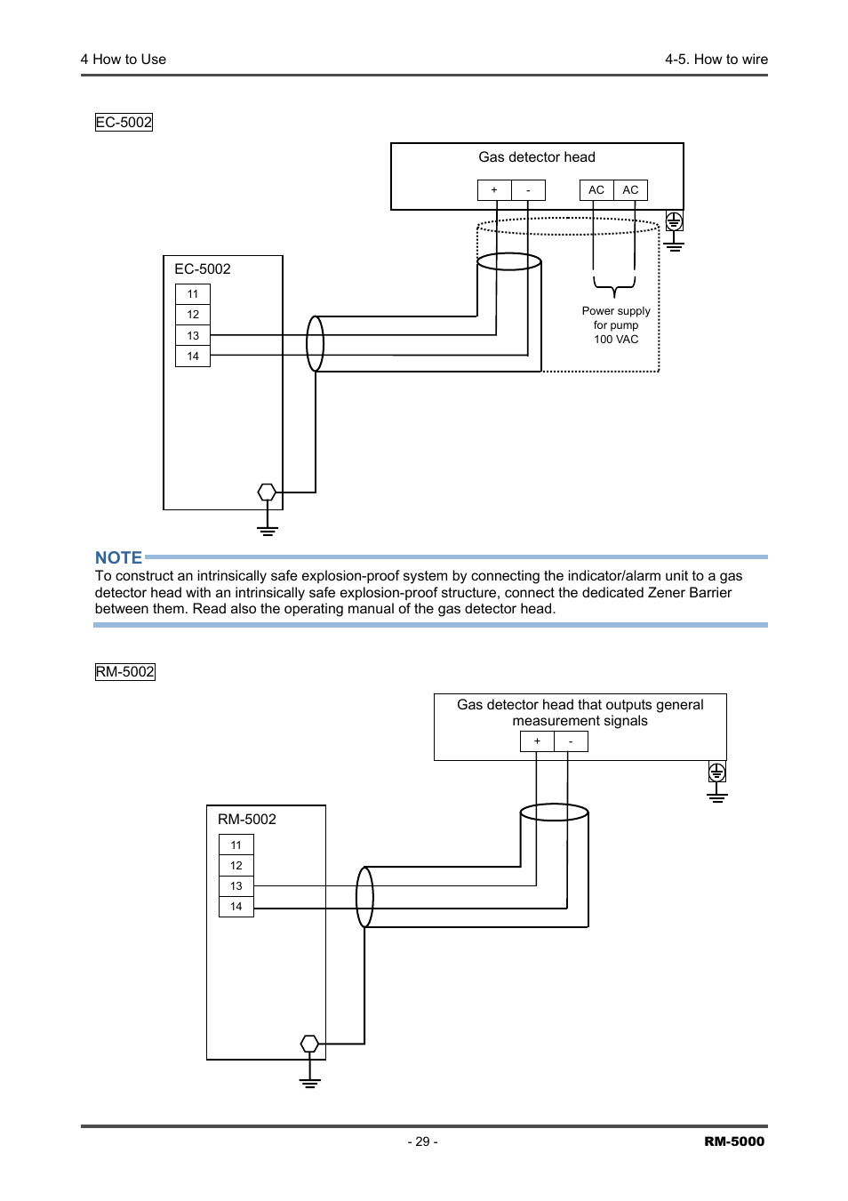 RKI Instruments RM-5000 Series Indicator/Alarm Unit User Manual | Page 29 / 81