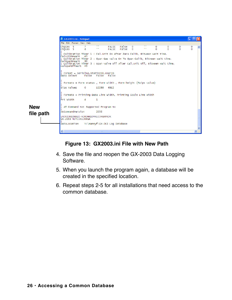 RKI Instruments GX-2003 User Manual | Page 26 / 64