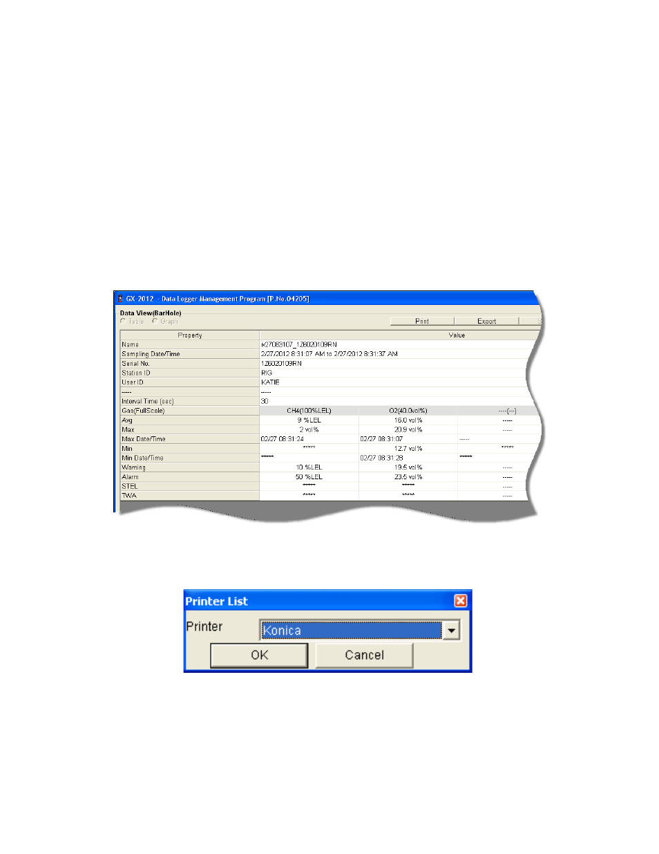 RKI Instruments GX-2012 User Manual | Page 42 / 90