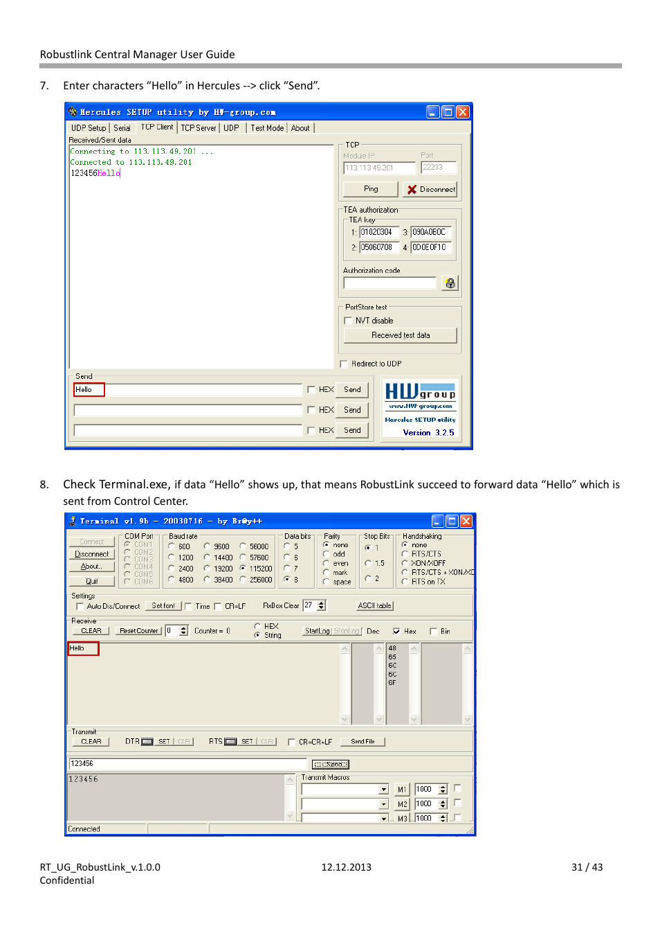 Robustel RobustLink User Manual | Page 31 / 43