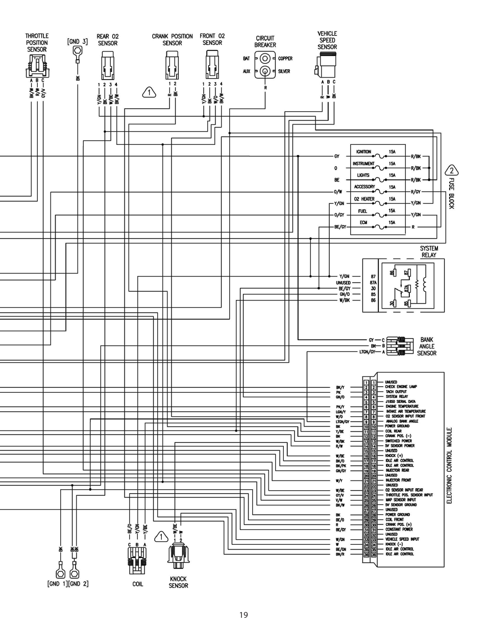 S&S Cycle California X-Wedge Engines User Manual | Page 19 / 20