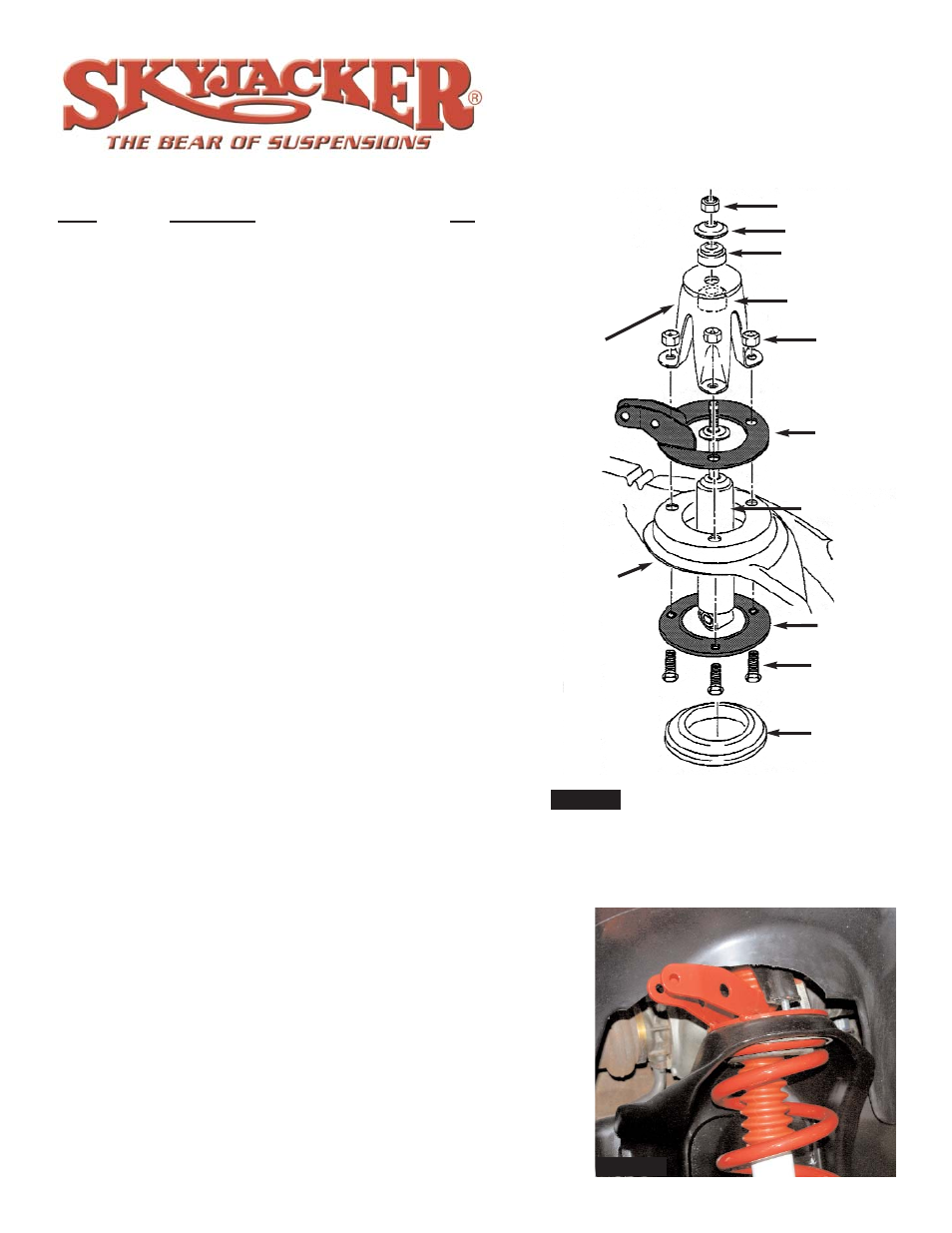 Skyjacker DS393 User Manual | 2 pages