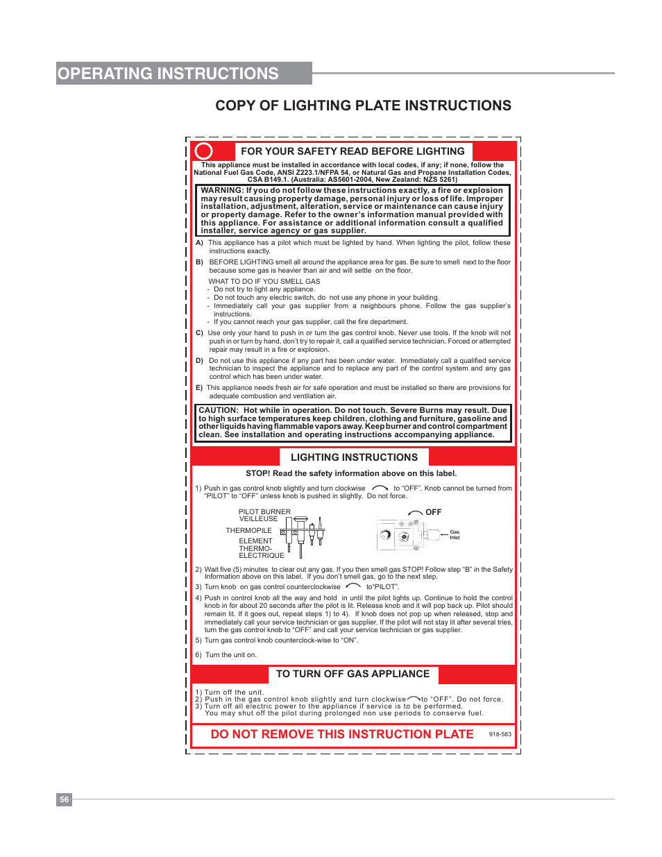 Operating instructions, Copy of lighting plate instructions, Do not remove this instruction plate | Regency Bellavista B41XTE Large Gas Fireplace User Manual | Page 56 / 64