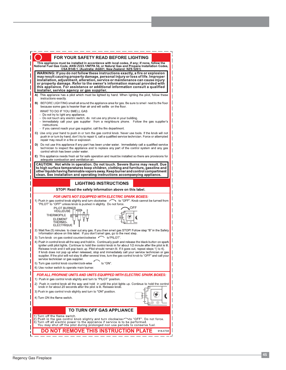 Operating instructions | Regency Excalibur P90 Medium Gas Fireplace User Manual | Page 45 / 56