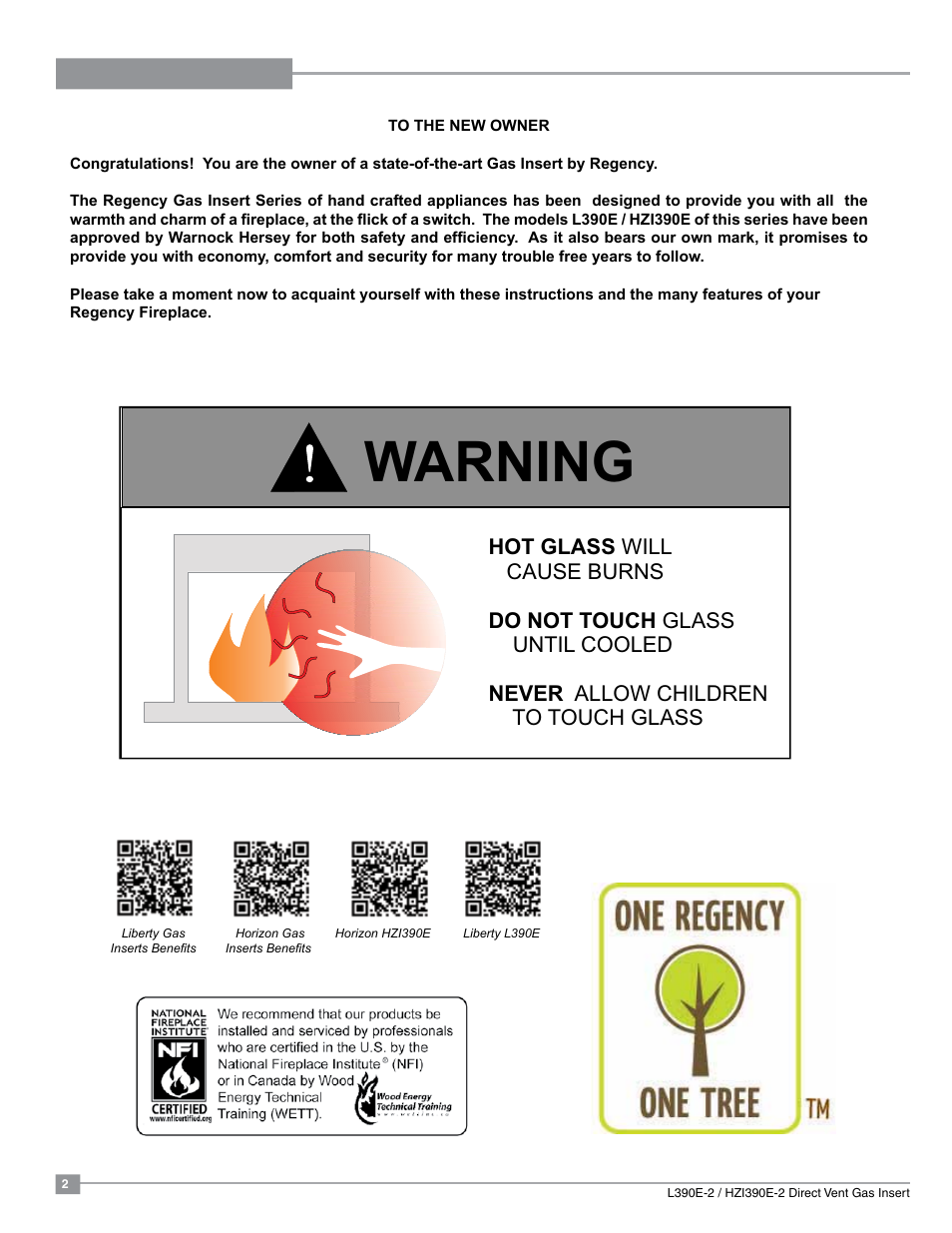 Warning | Regency Liberty L390EB Medium Gas Insert User Manual | Page 2 / 60