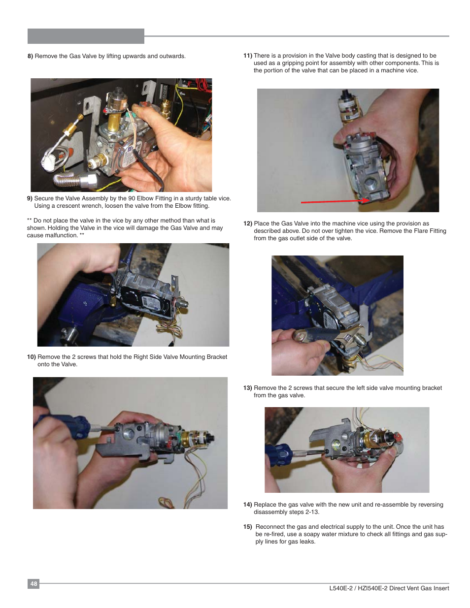 Maintenance | Regency Liberty L540EB Large Gas Insert User Manual | Page 48 / 56