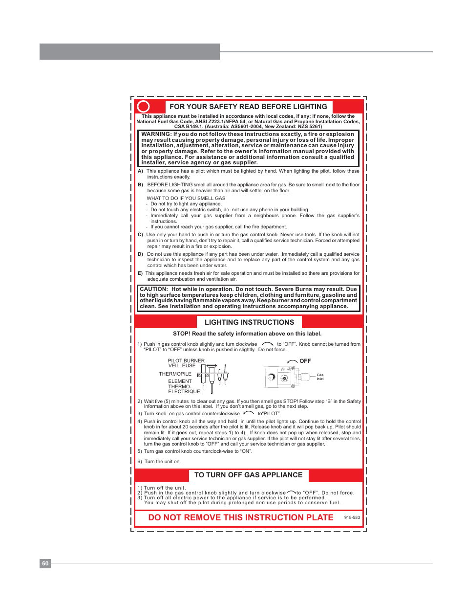 Operating instructions, Copy of lighting plate instructions, Do not remove this instruction plate | Regency Bellavista B36XT Medium Gas Fireplace User Manual | Page 60 / 68