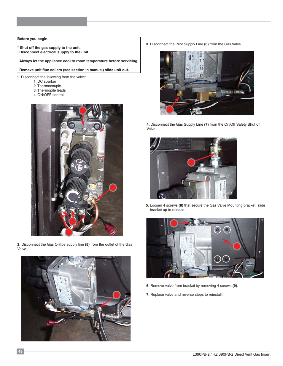 Maintenance, Valve replacement | Regency Liberty L390PB Medium Gas Insert User Manual | Page 48 / 56