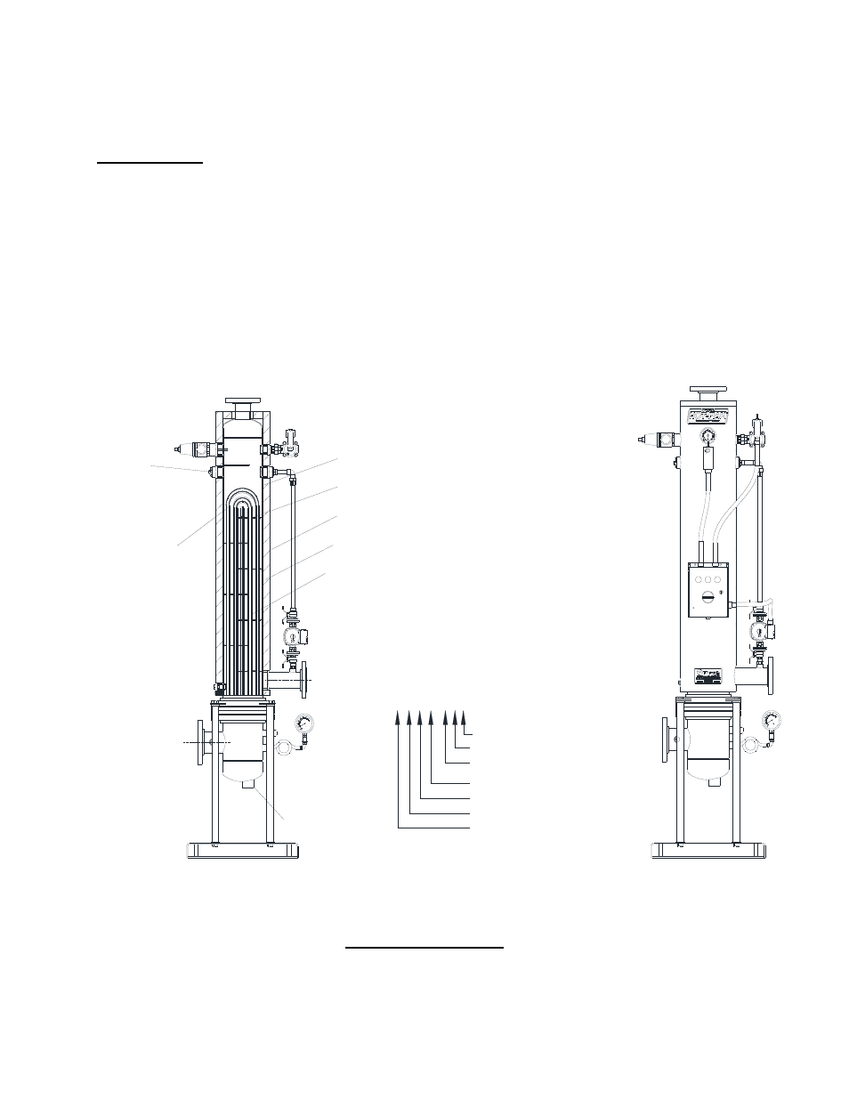 Thrush co | Thrush DSVE Series User Manual | Page 4 / 29