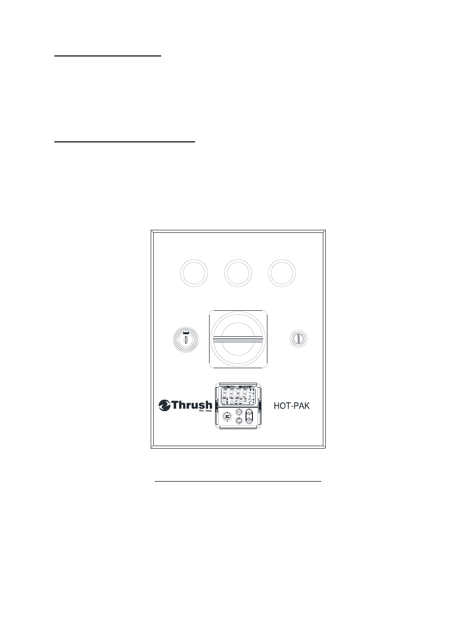 Thrush co, Thrush, Figure 3-10 control panel (electronic) | Thrush DSHE Series User Manual | Page 12 / 29