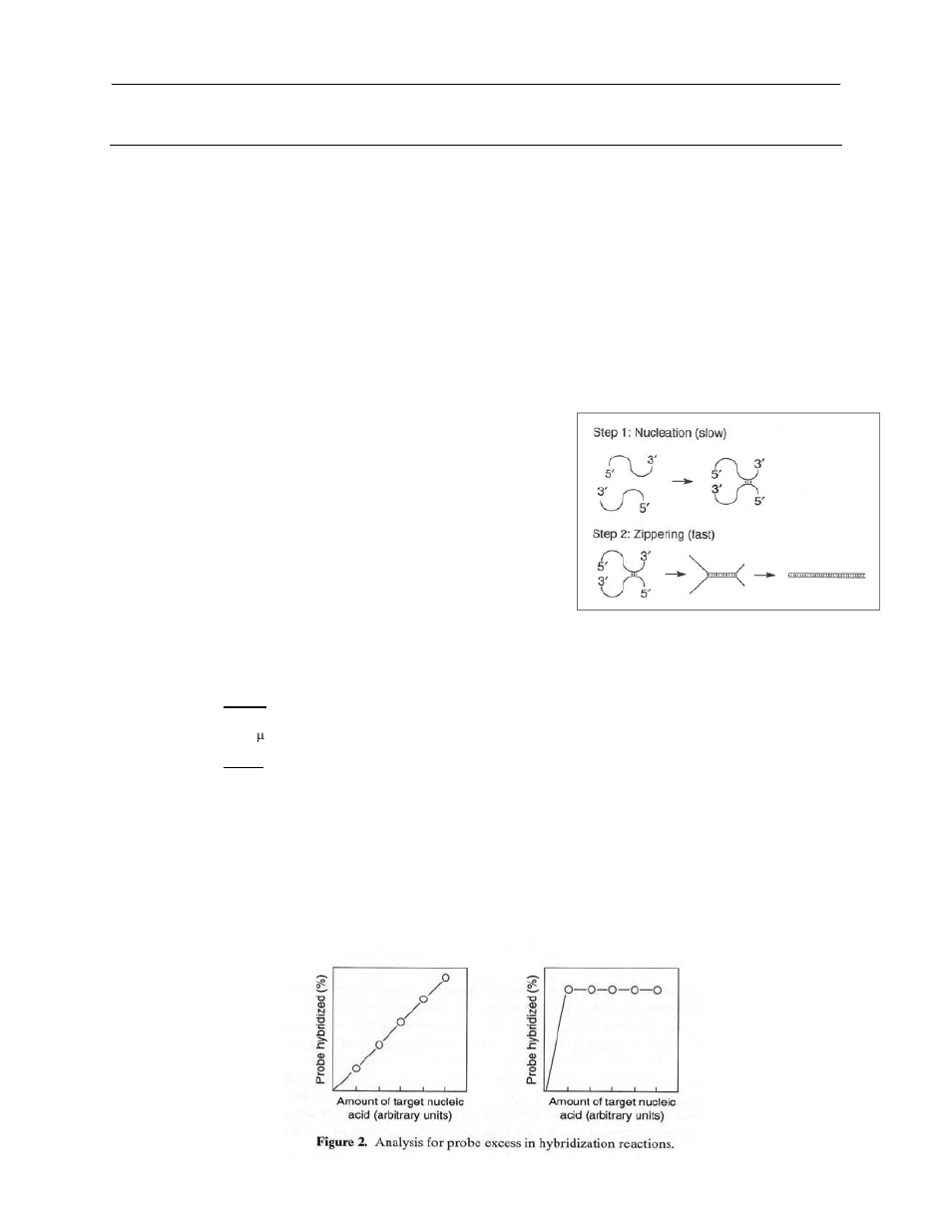 Hybridization techniques | UVP HB-500 Minidizer User Manual | Page 10 / 15
