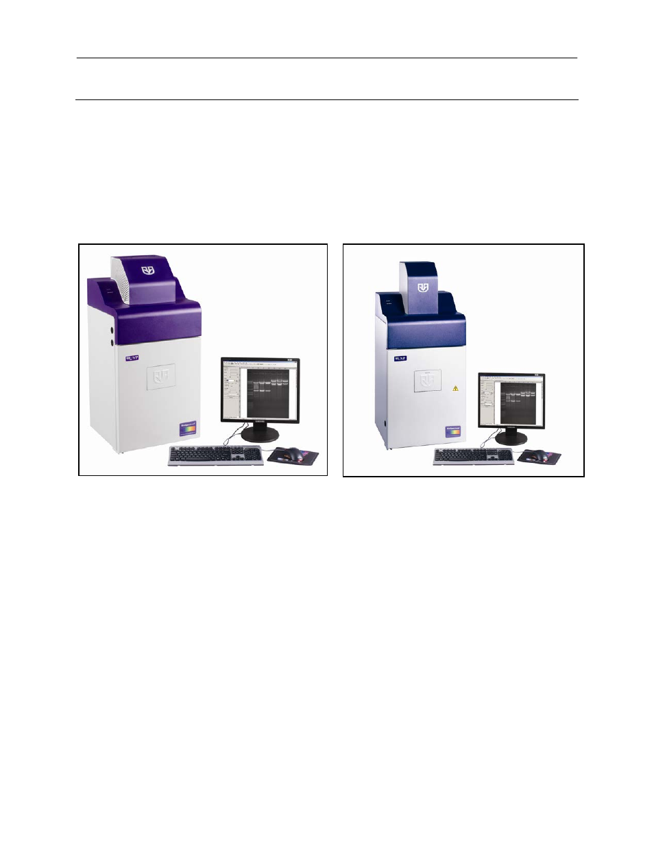 Introduction | UVP BioSpectrum Imaging System User Manual | Page 3 / 22
