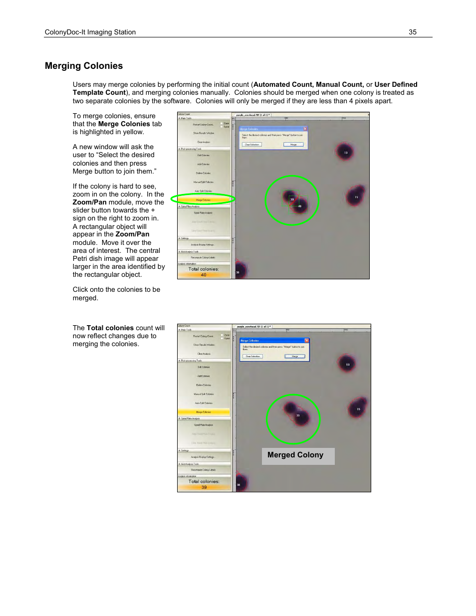 Merging colonies | UVP ColonyDoc-It Imaging Station User Manual | Page 35 / 48