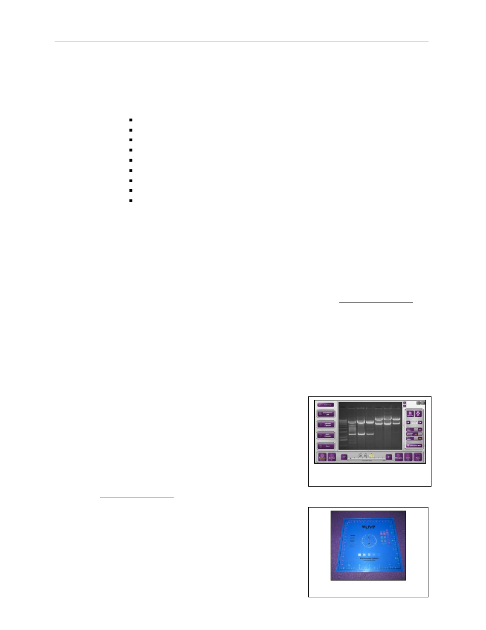 UVP ChemiDoc-It TS2 Imagers User Manual | Page 6 / 25