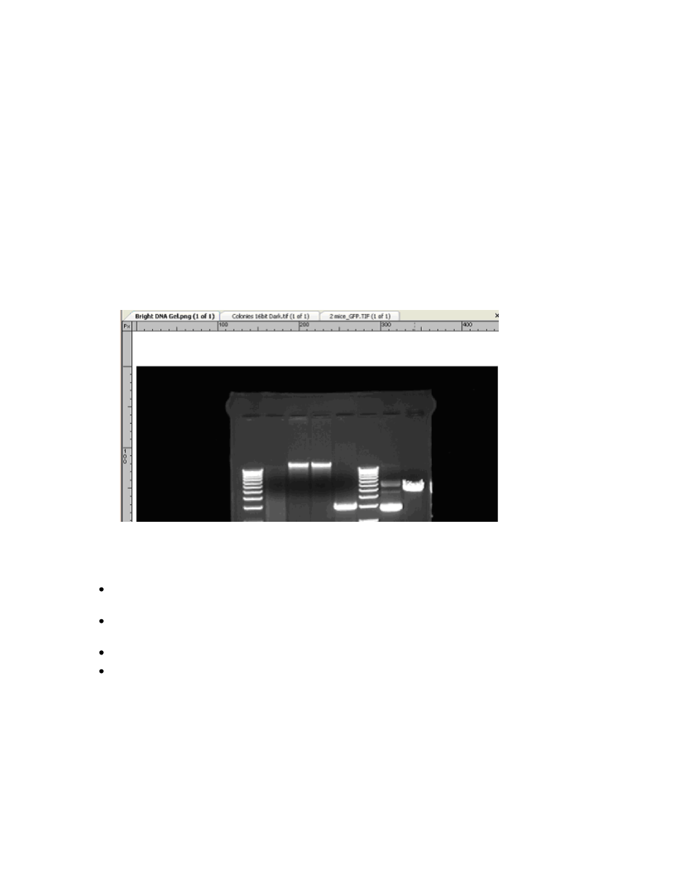 Image windows | UVP Doc-It Life Science User Manual | Page 18 / 111