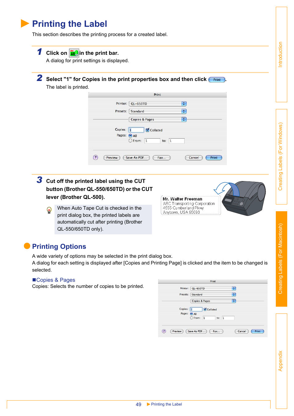 Printing the label, Printing options | Brother QL-650TD User Manual | Page 49 / 65