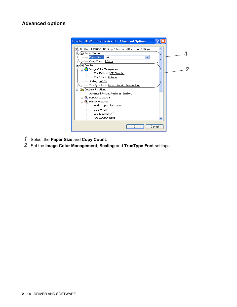 Advanced options, Advanced options -14 | Brother HL 2700CN User Manual | Page 51 / 162