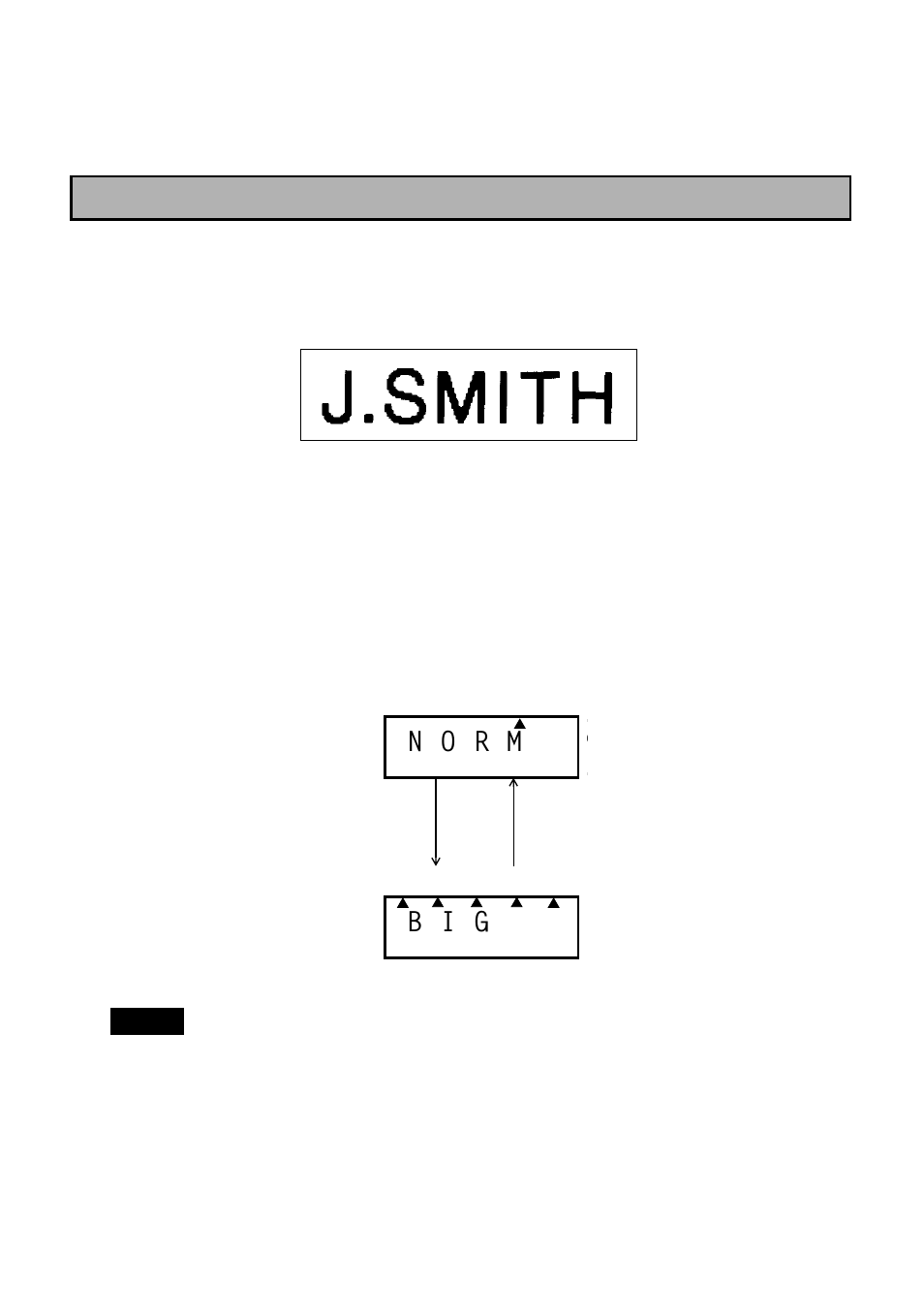 Big size font, B i g, D : n o r m | N o r m | Brother P-TOUCH PT-1700 User Manual | Page 29 / 82