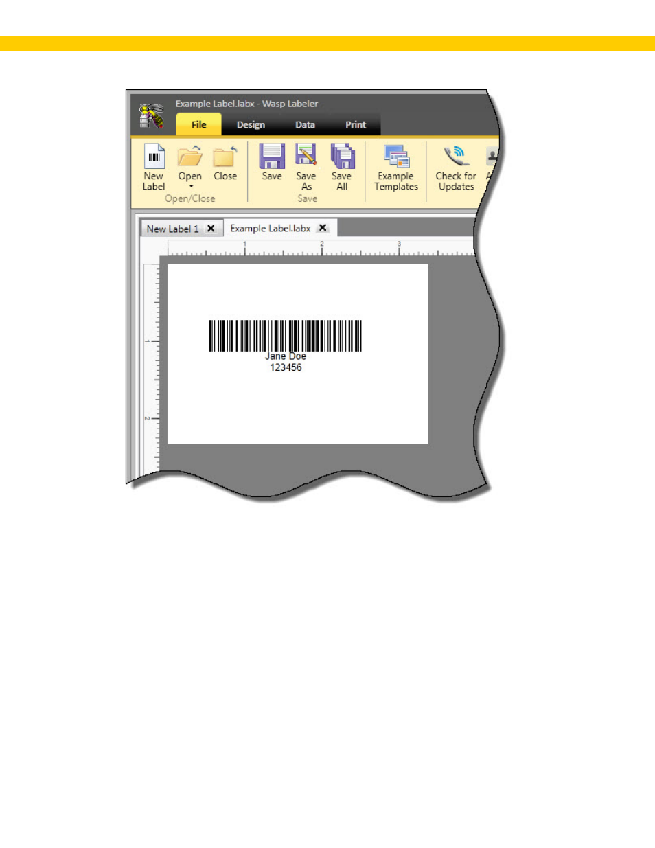 Wasp Barcode WaspLabeler +2D User Manual User Manual | Page 25 / 205