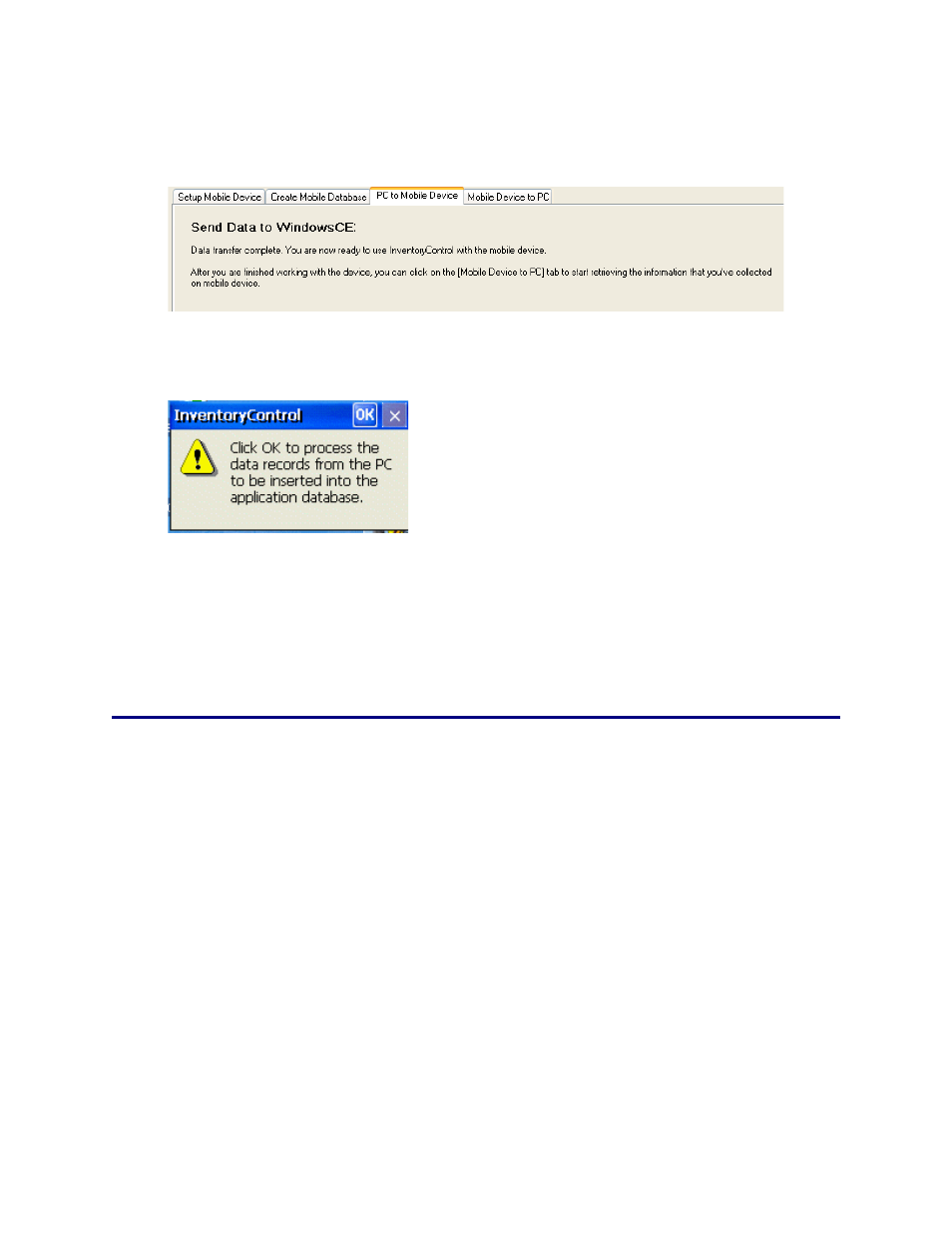 Wasp Barcode Inventory Control User Manual | Page 417 / 518