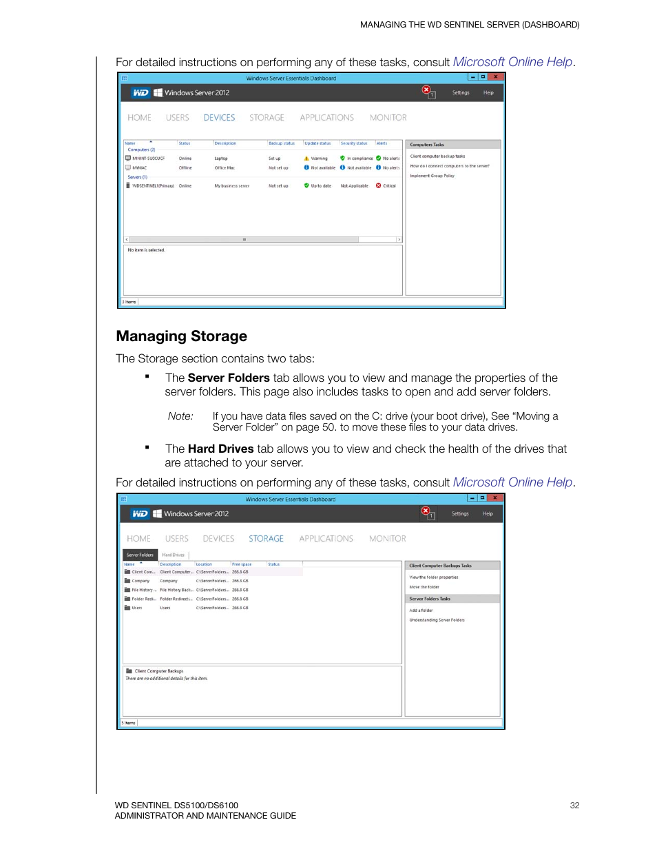 Managing storage | Western Digital WD Sentinel DS6100 Administrator and Maintenance Guide User Manual | Page 38 / 111