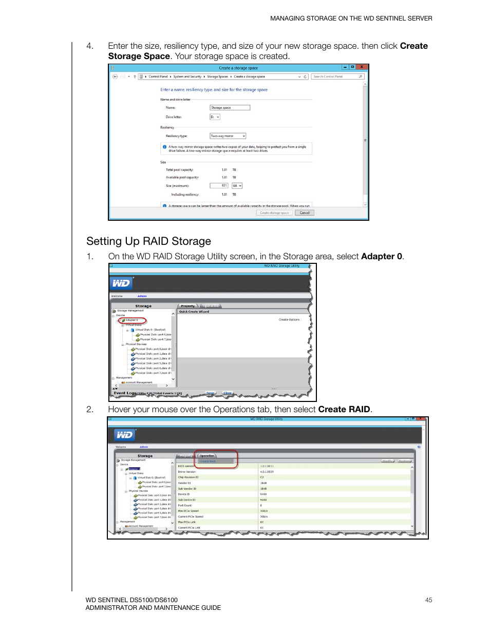 Setting up raid storage | Western Digital WD Sentinel DS6100 Administrator and Maintenance Guide User Manual | Page 51 / 111