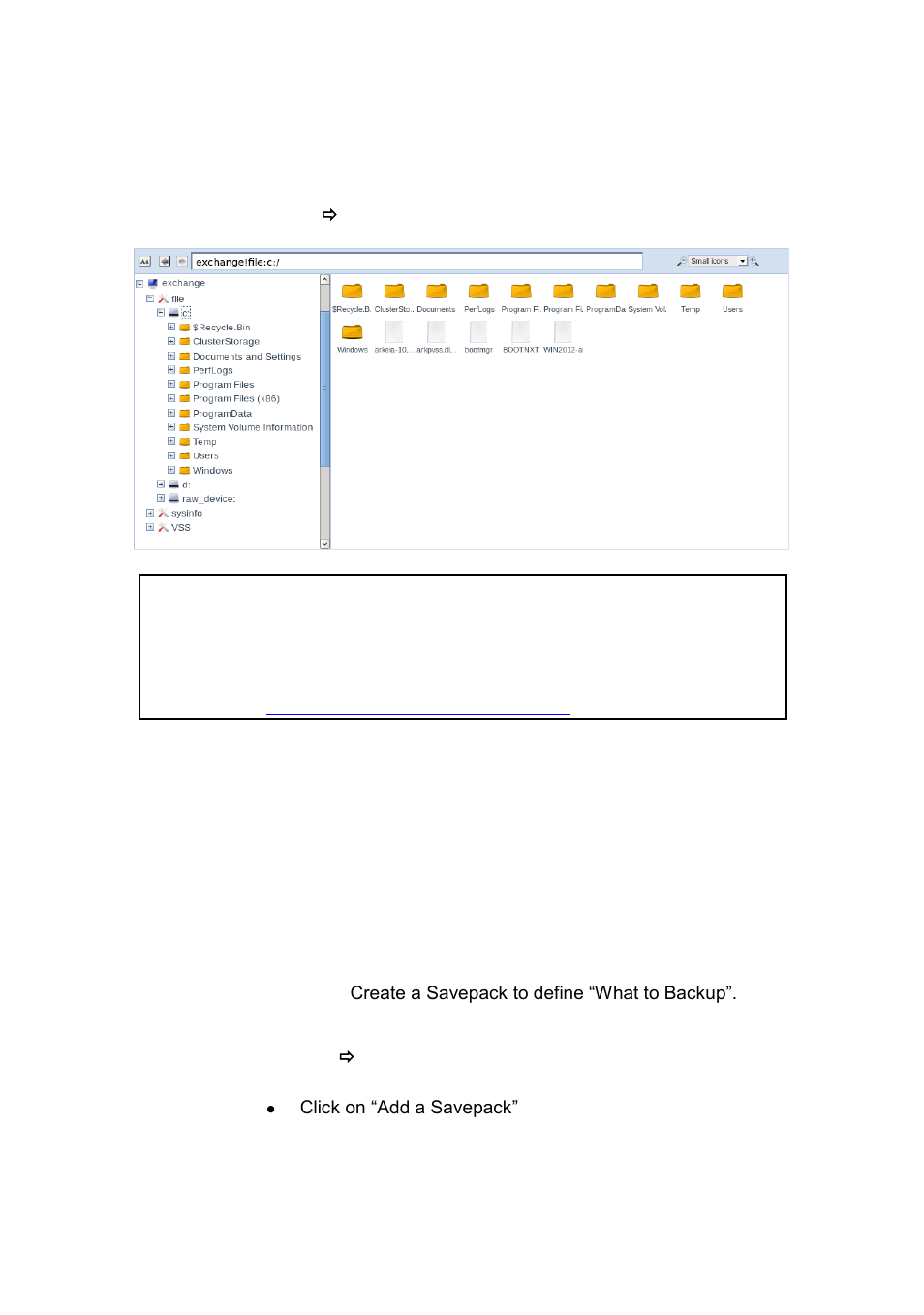 Run an immediate backup, Un an, Mmediate | Ackup | Western Digital WD Arkeia RAx300T Installation and Configuration Guide User Manual | Page 23 / 33