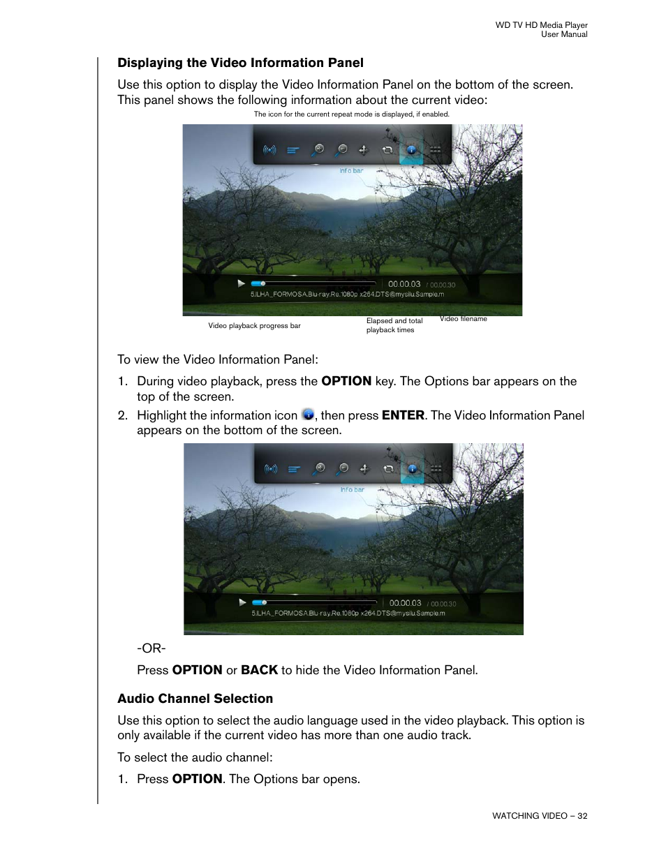 Displaying the video information panel, Audio channel selection | Western Digital WD TV HD Media Player (Gen 2) User Manual User Manual | Page 35 / 92