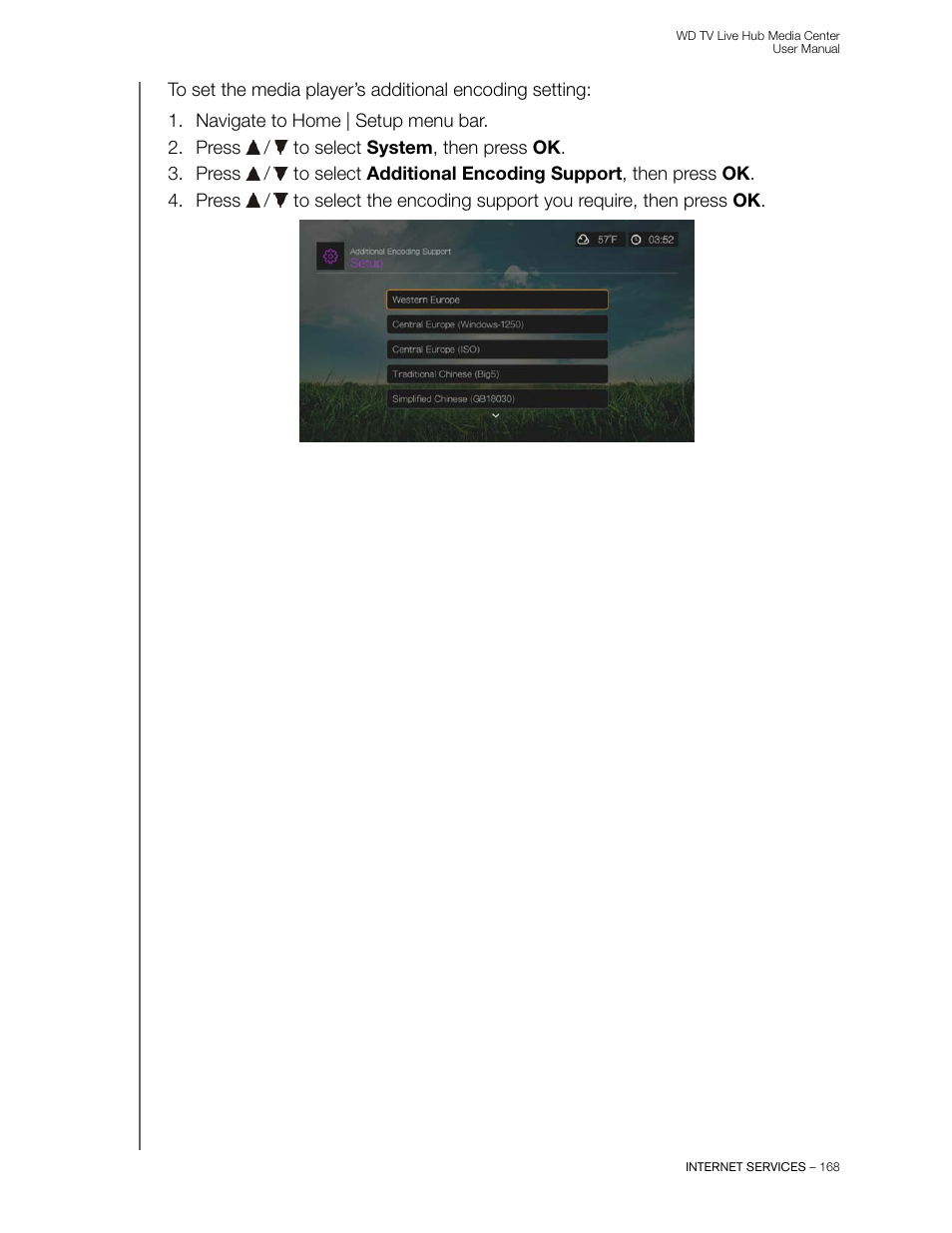 Western Digital WD TV Live Hub Media Center User Manual User Manual | Page 173 / 241