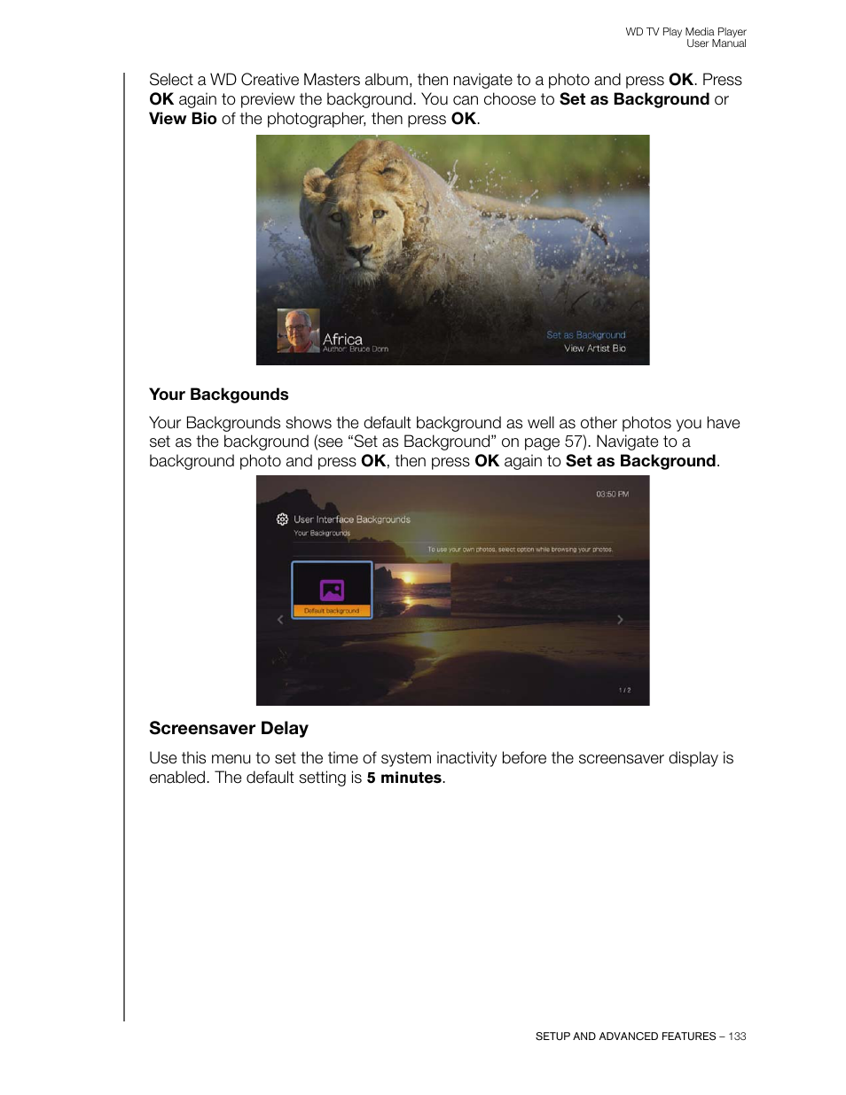 Your backgounds, Screensaver delay | Western Digital WD TV Play Media Player User Manual User Manual | Page 138 / 171
