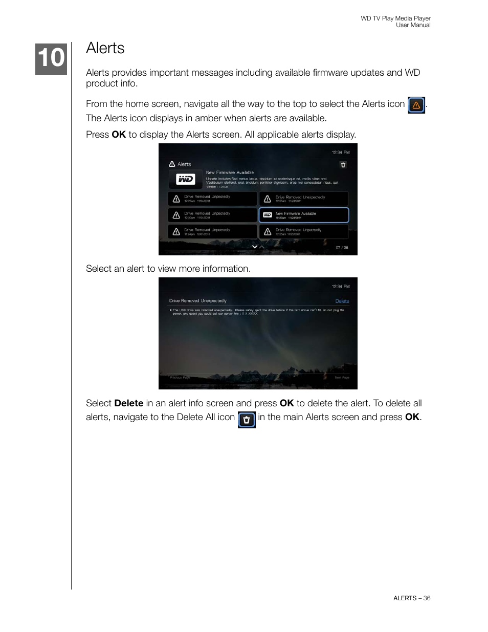 Alerts | Western Digital WD TV Play Media Player User Manual User Manual | Page 41 / 171