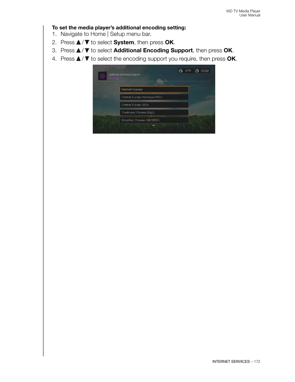 Western Digital WD TV User Manual User Manual | Page 177 / 244